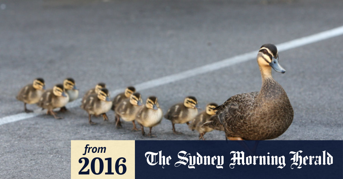 Why parents should kick their adult children out of home